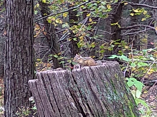 Supermarket «Stop & Shop», reviews and photos, 1730 Veterans Memorial Hwy, Islandia, NY 11749, USA