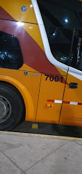 Movil Bus