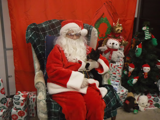 Pet Store «PetSmart», reviews and photos, 267 Berlin Turnpike, Berlin, CT 06037, USA