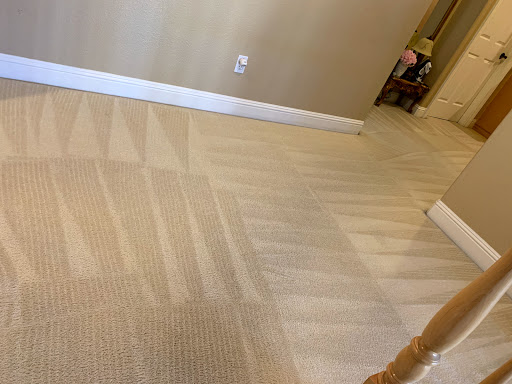 Next Level Carpet Cleaning Care