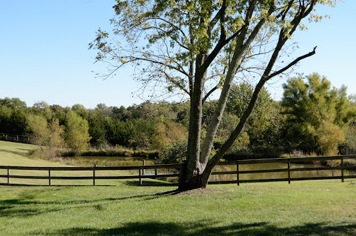 Winery «Wild Sun Winery», reviews and photos, 4830 Pioneer Rd, Hillsboro, MO 63050, USA