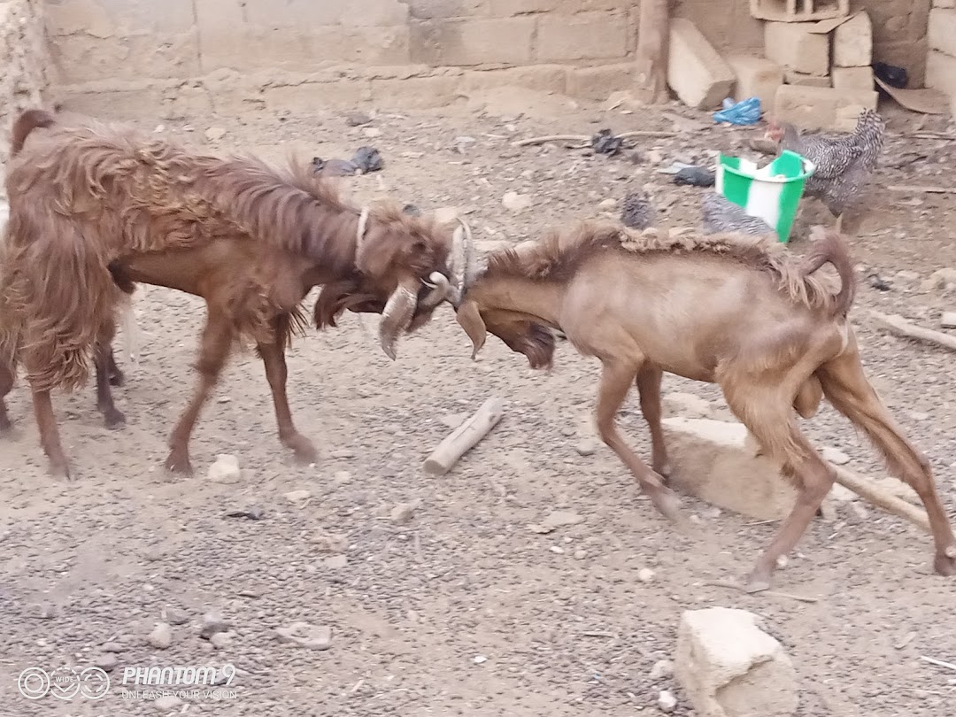Ziniaré, Burkina Faso