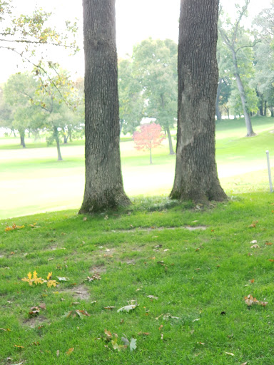 Golf Club «Forest Hills Golf Course», reviews and photos, 7530 210th St N, Forest Lake, MN 55025, USA