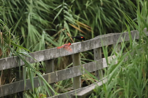 Park «Harford Glen Park», reviews and photos, 502 W Wheel Rd, Bel Air, MD 21015, USA