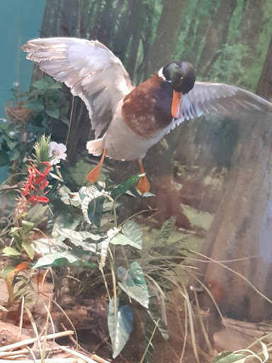 Science Museum «Kentucky Science Center», reviews and photos, 727 W Main St, Louisville, KY 40202, USA