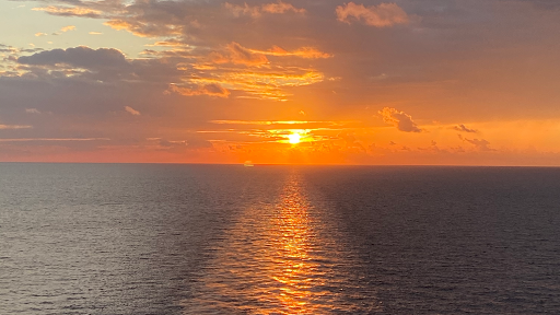 4320 W Broward Blvd #2​, Plantation, FL 33317, USA