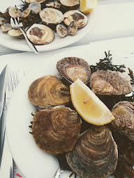 Photo n°55 de Les Viviers de Térénez à Rosnoën ()