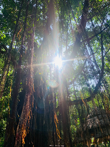 Top 20 cửa hàng play Huyện Cần Giờ Hồ Chí Minh 2022