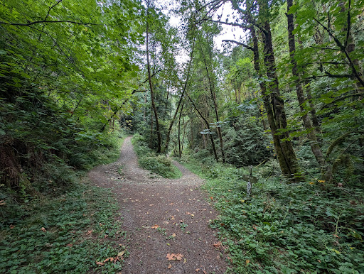 Skyline Blvd Trailhead