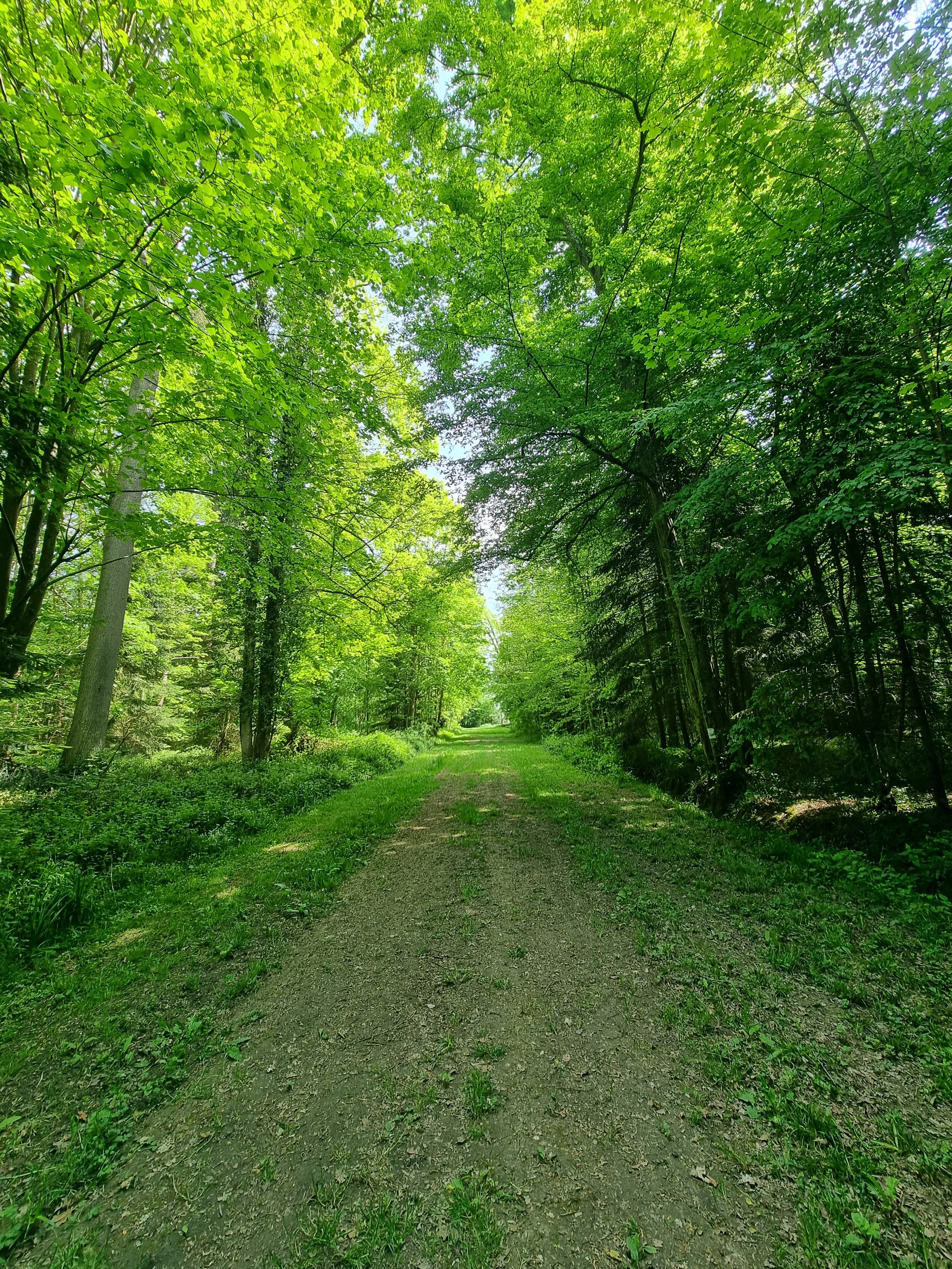 Photo n° 4 de l'avis de Glenn.. fait le 01/05/2022 à 20:21