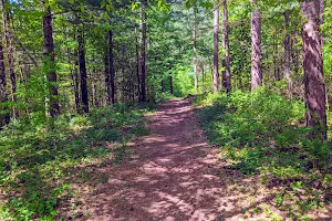 Saratoga County Kalabus Perry Trails image