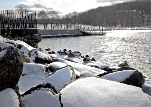 Park «Inwood Hill Park», reviews and photos, Dyckman St, New York, NY 10452, USA