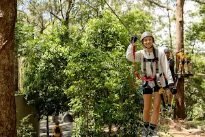 TreeTop Challenge Gold Coast Currumbin image