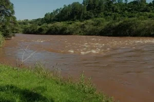 Pardo River image