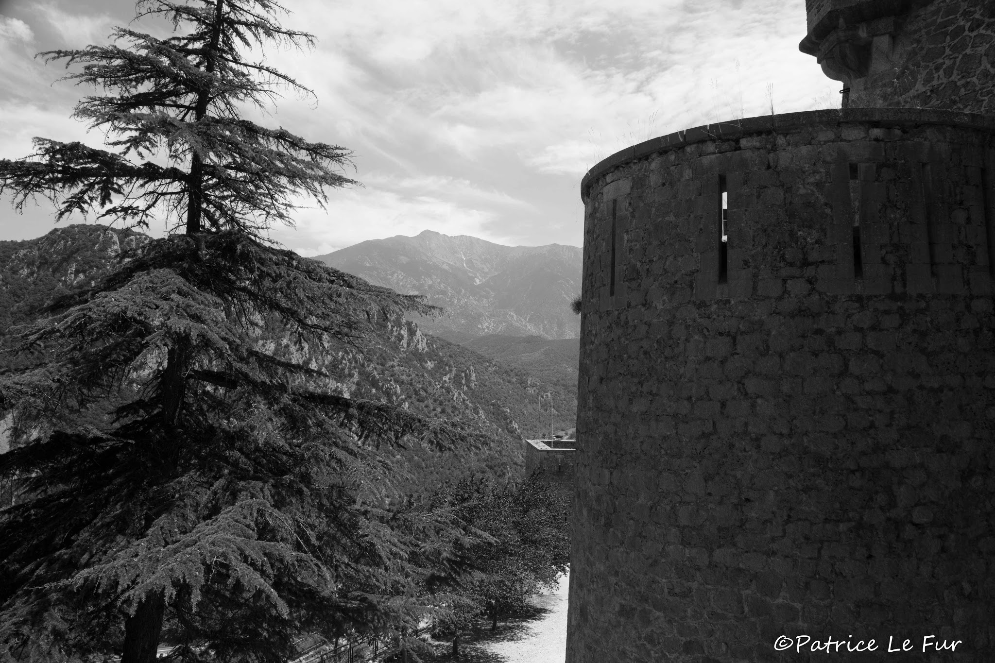 Photo n° 6 de l'avis de Patrice.e fait le 15/01/2018 à 17:29