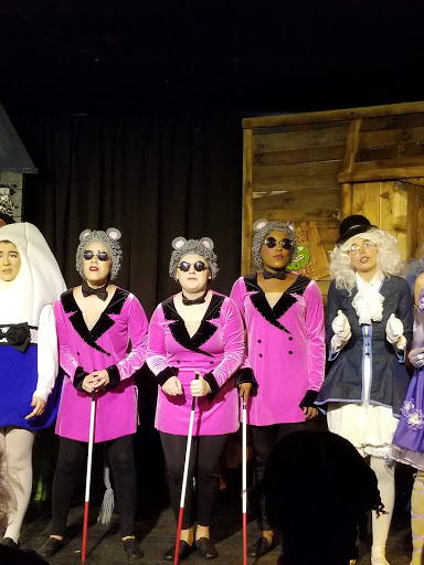 Performing Arts Theater «Dreamhouse Theatre», reviews and photos, 1840 Oak Grove Blvd, Lutz, FL 33559, USA