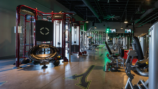 Circuit Fitness