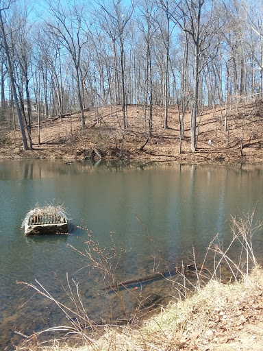 Park «Pilgrim Hill Local Park», reviews and photos, 1615 E Randolph Rd, Silver Spring, MD 20904, USA