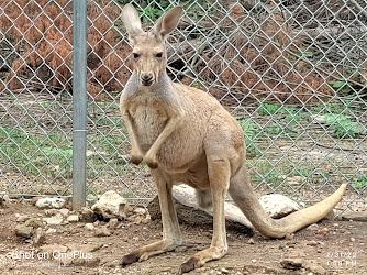 Missouri Down Under Adventure Zoo