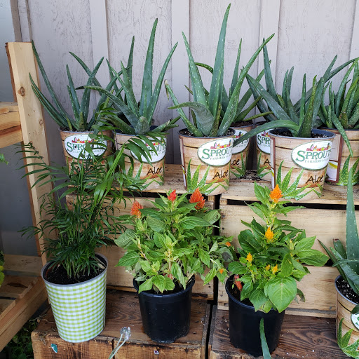 Health Food Store «Sprouts Farmers Market», reviews and photos, 17482 Yorba Linda Blvd, Yorba Linda, CA 92886, USA