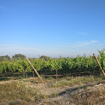 Photo n°1 de l'avis de Sónia.a fait le 14/06/2018 à 21:48 sur le  Olive Residence and Suites à Crato