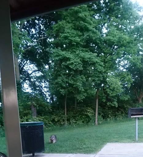 Recreation Center «Romeoville Recreation Department», reviews and photos, 900 W Romeo Rd, Romeoville, IL 60446, USA