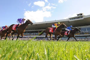 Rosehill Gardens Racecourse image