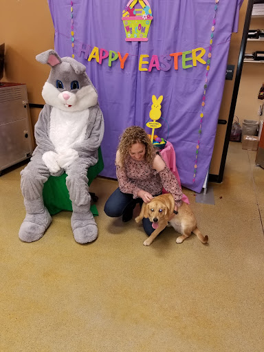 Pet Supply Store «PetSmart», reviews and photos, 181 Wilson Ave, Hanover, PA 17331, USA