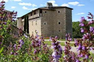 Castle Mayragues image