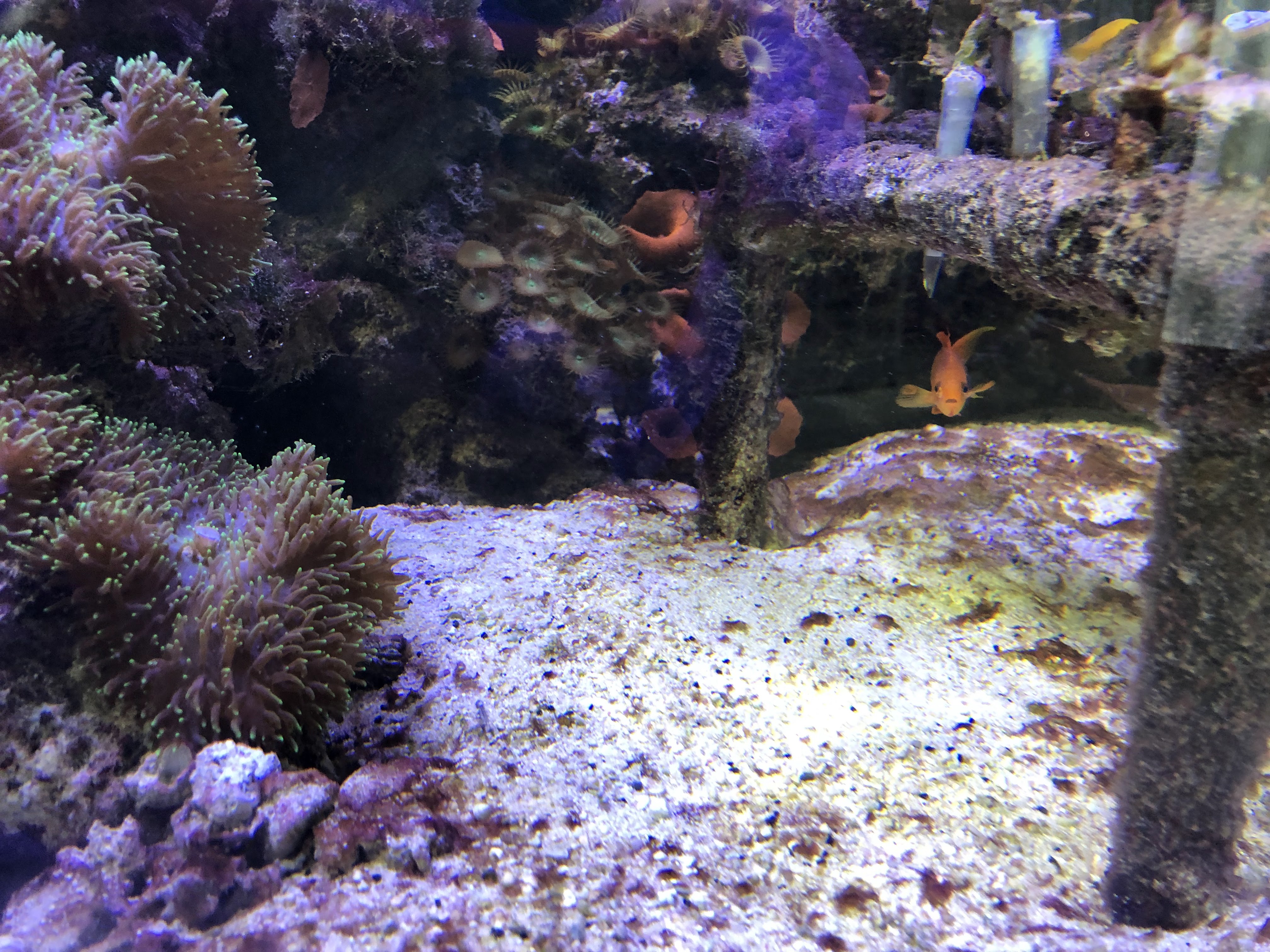 Photo n° 30 de l'avis de Nicolas.a fait le 07/06/2022 à 05:35