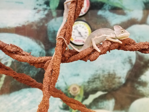 Pet Supply Store «Petco Animal Supplies», reviews and photos, 22000 Dulles Retail Plaza #110, Sterling, VA 20166, USA