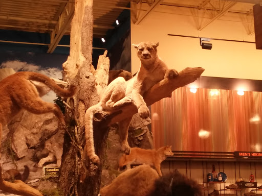 Outdoor Sports Store «Field & Stream», reviews and photos, 2075 Interchange Rd, Erie, PA 16509, USA