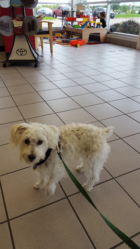 Car Repair and Maintenance «Burnsville Toyota Service & Parts», reviews and photos, 14800 Burnhaven Dr, Burnsville, MN 55306, USA