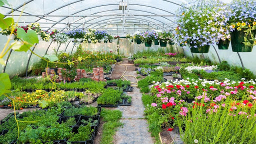 Southland Nursery