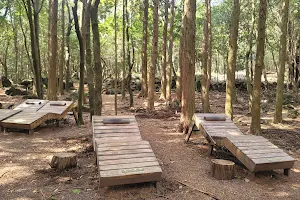 Seogwipo Forest of Healing image