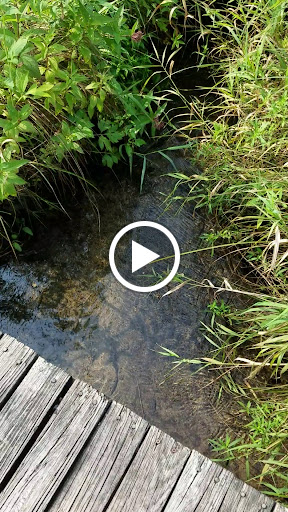 Nature Preserve «Bluff Spring Fen», reviews and photos, Spring Grove Ave, Elgin, IL 60120, USA