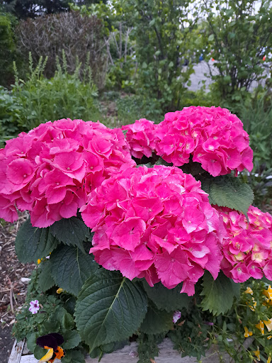 Golf Club «Makray Memorial Golf Club», reviews and photos, 1010 S Northwest Hwy, Barrington, IL 60010, USA