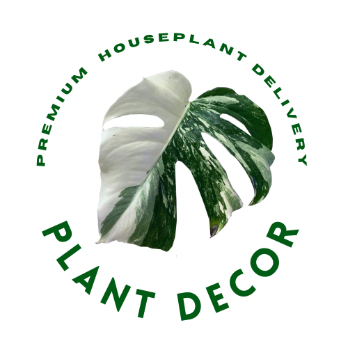Plant Decor NZ - Landscaper