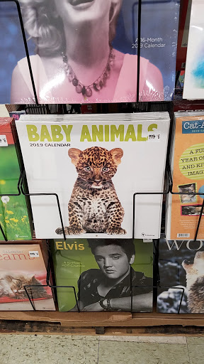 Discount Store «Big Lots», reviews and photos, 3365 Navarre Ave, Oregon, OH 43616, USA