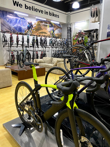 Bicycle Store Interlomas Trek