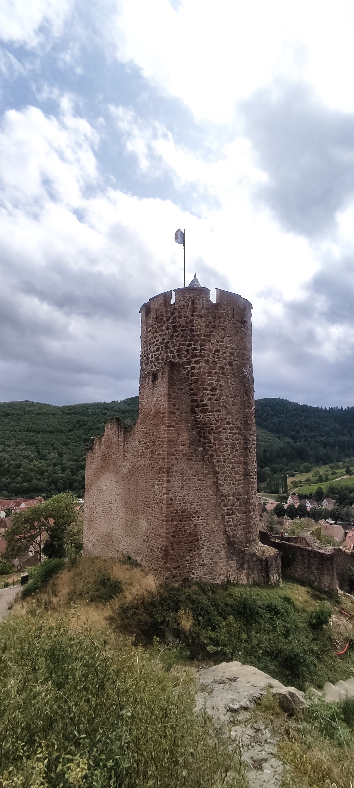 Photo n° 1 de l'avis de Jorn. fait le 26/07/2023 à 16:14