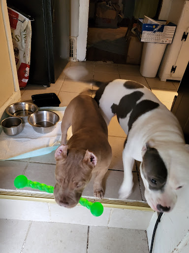 Princeton Veterinary Hospital image