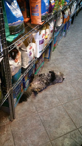 Pet Store «Pets On the Run», reviews and photos, 2920 Hoyt Ave S, Astoria, NY 11102, USA