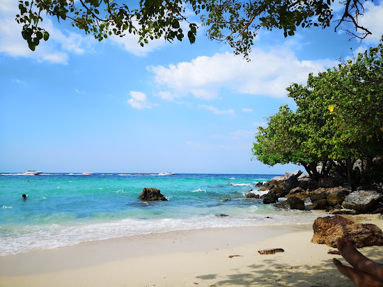 Monkey Beach