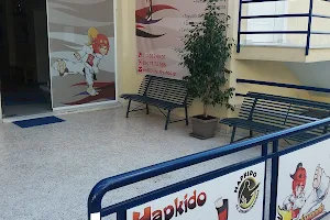 Taekwondo Hapkido Δύναμη Παλλήνης image
