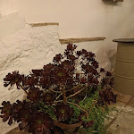 Photo n°3 de l'avis de MARILINA.R fait le 01/06/2023 à 19:11 sur le  Civico 45 Enosteria à Massafra