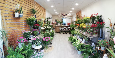 Délice floral - fleuriste Frontignan La Peyrade à Frontignan