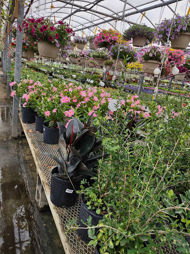 Plant Nursery «Blooming Acres», reviews and photos, 7561 State Rd, Wadsworth, OH 44281, USA