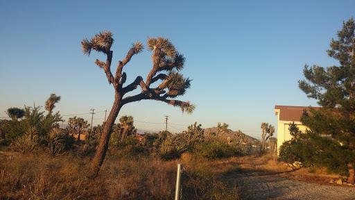 Photo of Victor Valley Electric, Inc.