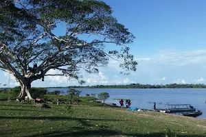 Laguna Cashibococha image